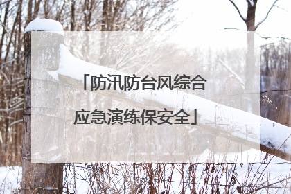 防汛防台风综合应急演练保安全