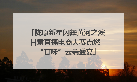 陇原新星闪耀黄河之滨 甘肃直播电商大赛点燃“甘味”云端盛宴