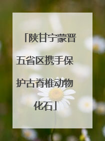 陕甘宁蒙晋五省区携手保护古脊椎动物化石