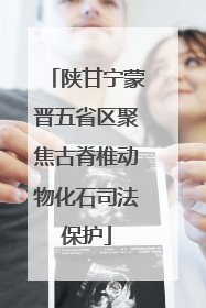 陕甘宁蒙晋五省区聚焦古脊椎动物化石司法保护