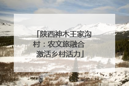 陕西神木王家沟村：农文旅融合 激活乡村活力
