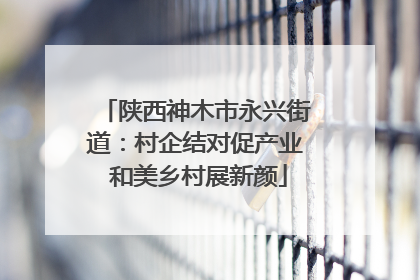 陕西神木市永兴街道：村企结对促产业 和美乡村展新颜