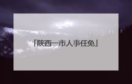 陕西一市人事任免