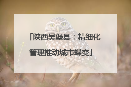 陕西吴堡县：精细化管理推动城市蝶变