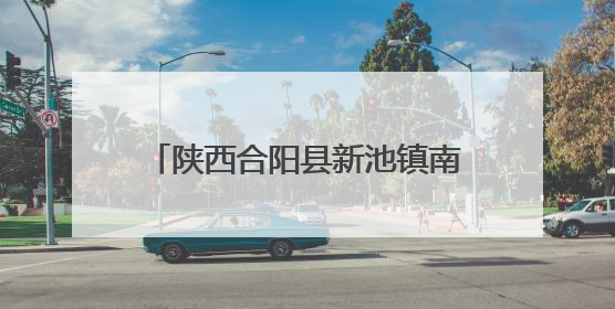 陕西合阳县新池镇南沟社区：葡萄串起振兴路 聚力同行显效能