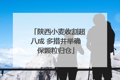 陕西小麦收割超八成 多措并举确保颗粒归仓
