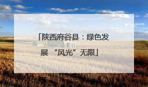 陕西府谷县：绿色发展 “风光”无限