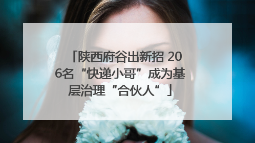 陕西府谷出新招 206名“快递小哥”成为基层治理“合伙人”