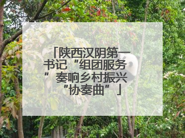 陕西汉阴第一书记“组团服务”奏响乡村振兴“协奏曲”