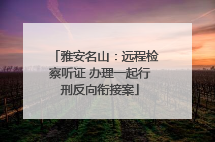 雅安名山：远程检察听证 办理一起行刑反向衔接案