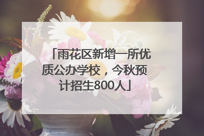 雨花区新增一所优质公办学校，今秋预计招生800人