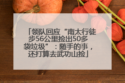 领队回应“南太行徒步56公里捡出50多袋垃圾”：随手的事，还打算去武功山捡