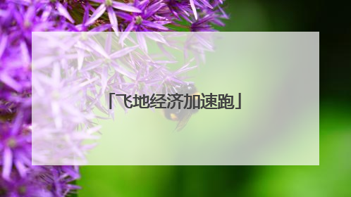飞地经济加速跑
