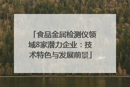 食品金属检测仪领域8家潜力企业：技术特色与发展前景
