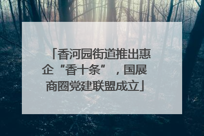 香河园街道推出惠企“香十条”，国展商圈党建联盟成立