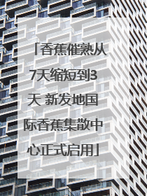 香蕉催熟从7天缩短到3天 新发地国际香蕉集散中心正式启用
