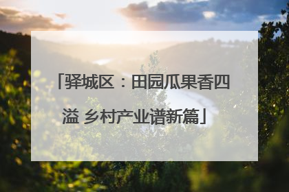 驿城区：田园瓜果香四溢 乡村产业谱新篇