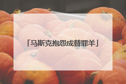 马斯克抱怨成替罪羊