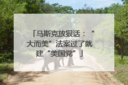 马斯克放狠话：“大而美”法案过了就建“美国党”