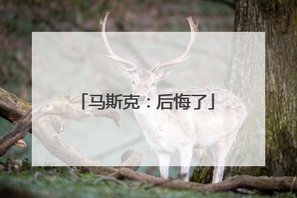 马斯克：后悔了