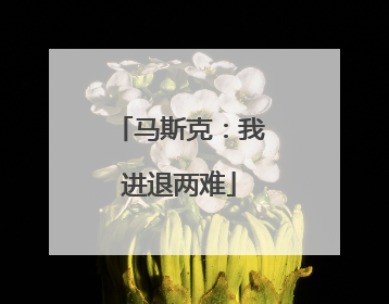 马斯克：我进退两难