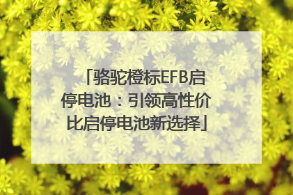 骆驼橙标EFB启停电池：引领高性价比启停电池新选择