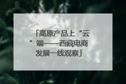 高原产品上“云”端——西藏电商发展一线观察