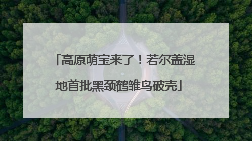高原萌宝来了！若尔盖湿地首批黑颈鹤雏鸟破壳