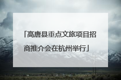 高唐县重点文旅项目招商推介会在杭州举行
