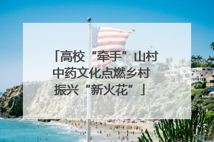 高校“牵手”山村 中药文化点燃乡村振兴“新火花”