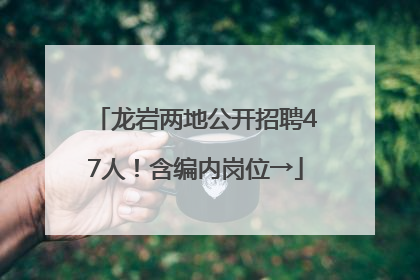 龙岩两地公开招聘47人！含编内岗位→