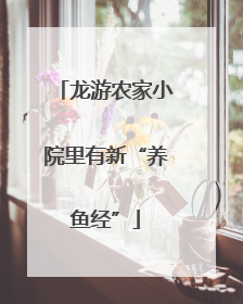 龙游农家小院里有新“养鱼经”