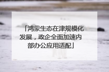鸿蒙生态在津规模化发展，政企全面加速内部办公应用适配