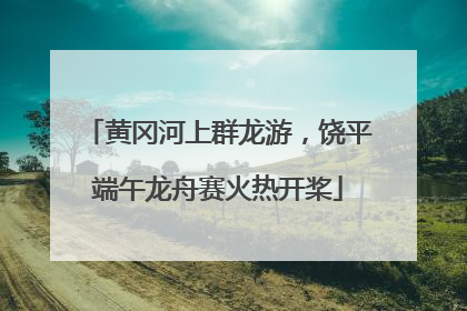 黄冈河上群龙游，饶平端午龙舟赛火热开桨