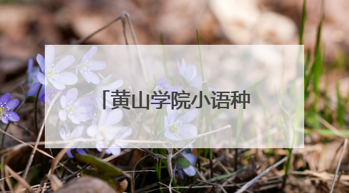 黄山学院小语种微专业学生助力景区外语讲解服务