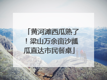 黄河滩西瓜熟了！梁山万余亩沙瓤瓜直达市民餐桌