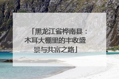 黑龙江省桦南县：木耳大棚里的丰收盛景与共富之路