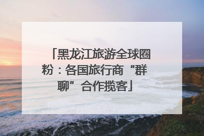 黑龙江旅游全球圈粉：各国旅行商“群聊”合作揽客