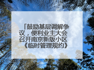 鼓励基层调解争议，便利业主大会召开南京新版小区《临时管理规约》征求意见