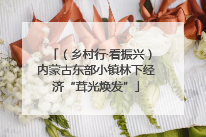 （乡村行·看振兴）内蒙古东部小镇林下经济“茸光焕发”