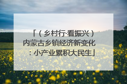 （乡村行·看振兴）内蒙古乡镇经济新变化：小产业累积大民生