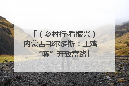 （乡村行·看振兴）内蒙古鄂尔多斯：土鸡“啄”开致富路