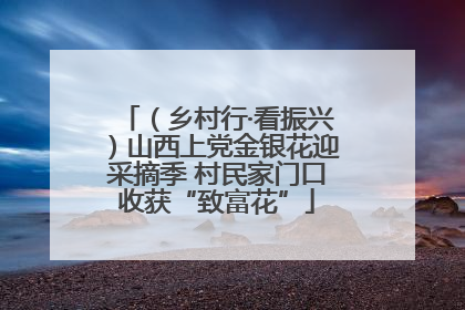 （乡村行·看振兴）山西上党金银花迎采摘季 村民家门口收获“致富花”