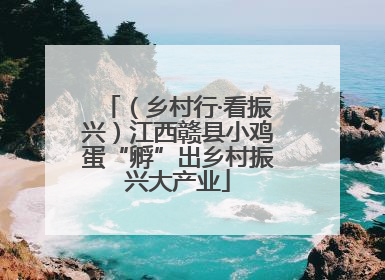 （乡村行·看振兴）江西赣县小鸡蛋“孵”出乡村振兴大产业
