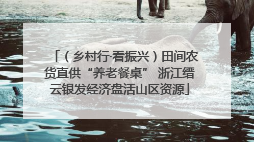 （乡村行·看振兴）田间农货直供“养老餐桌” 浙江缙云银发经济盘活山区资源