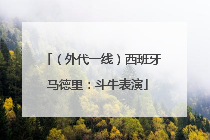 （外代一线）西班牙马德里：斗牛表演