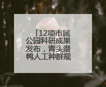 12项市属公园科研成果发布，青头潜鸭人工种群规模破百只