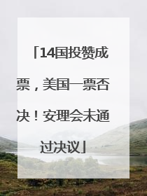 14国投赞成票，美国一票否决！安理会未通过决议