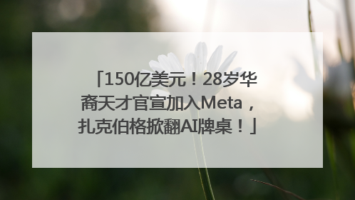 150亿美元！28岁华裔天才官宣加入Meta，扎克伯格掀翻AI牌桌！