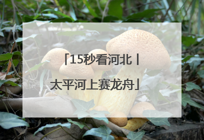 15秒看河北丨太平河上赛龙舟